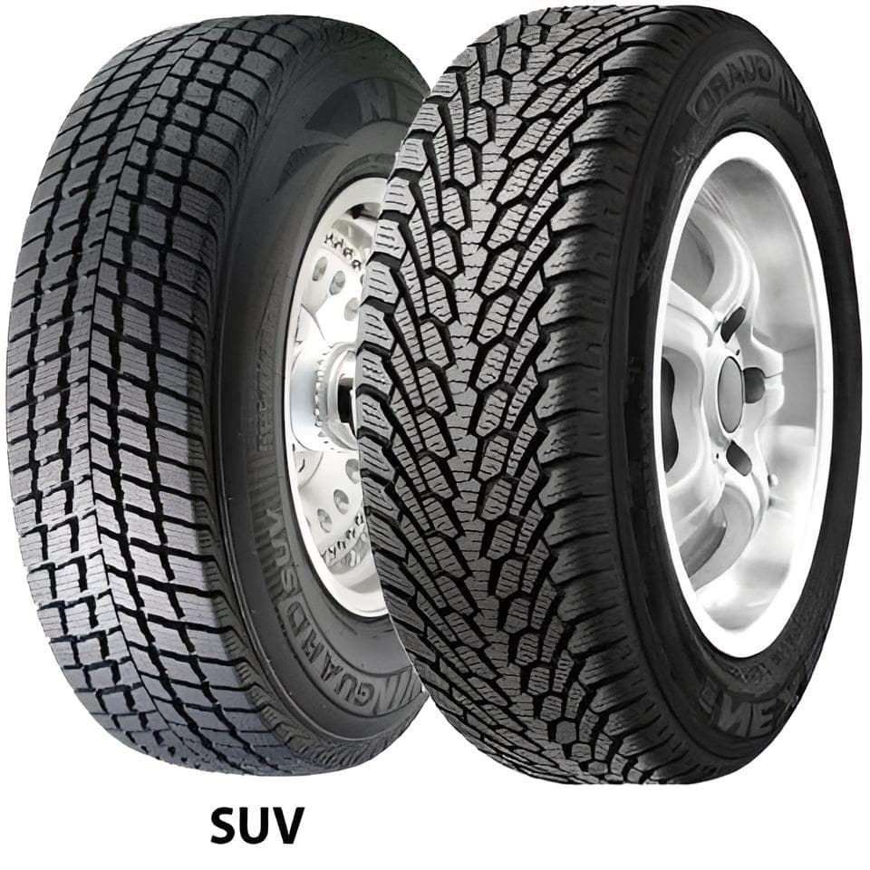 Nexen-Roadstone Winguard — фото поставщика